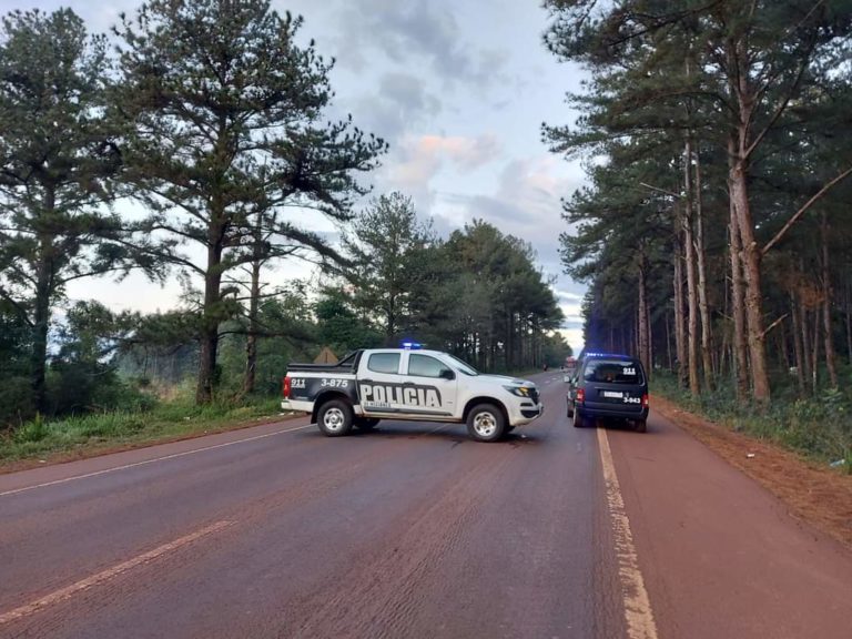 Junto a una moto, hallaron muerto a un hombre tendido sobre la Ruta 12 imagen-43