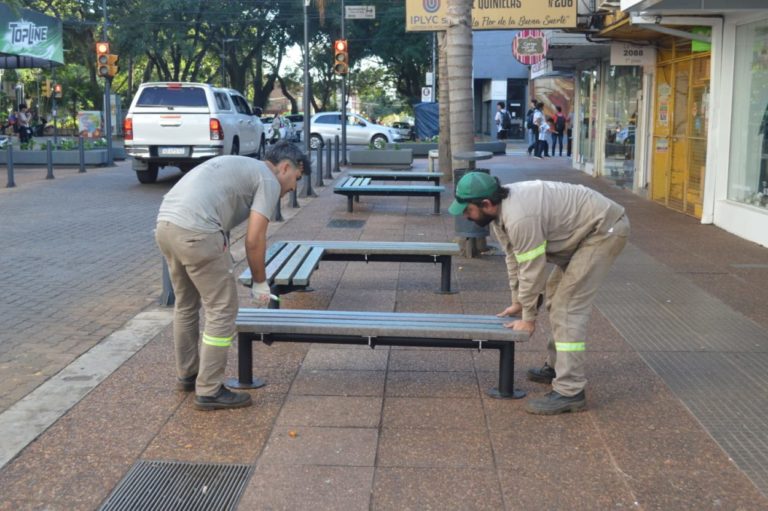 Más de 20 bancos de Calle Paseo serán renovados en diferentes etapas imagen-7