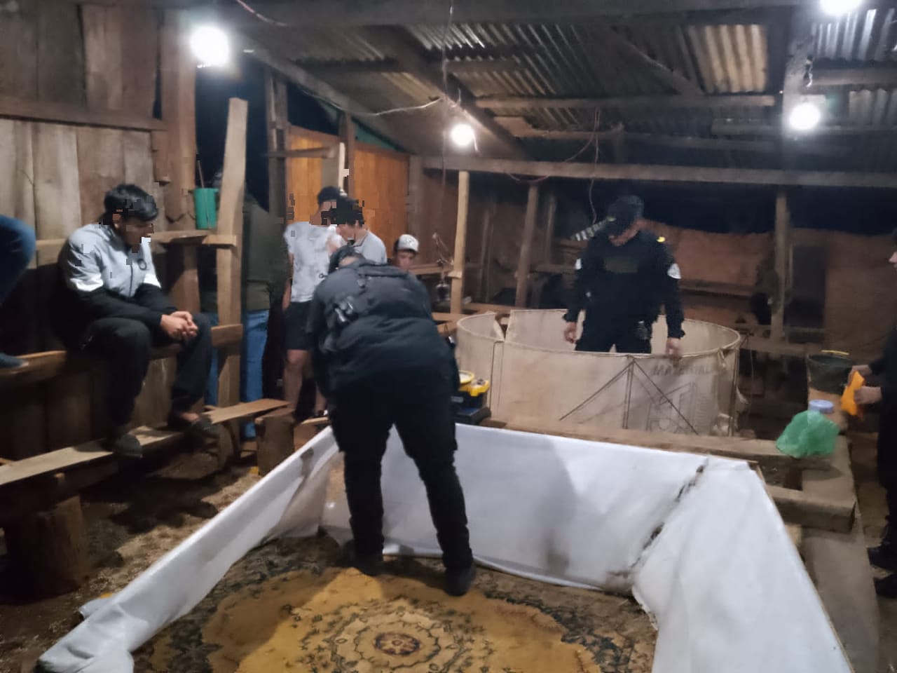 Operativo policial desmanteló una red de peleas clandestinas de gallos en Campo Grande imagen-4