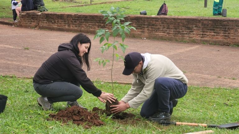 Cada vez más vecinos se suman a la iniciativa de plantar árboles en las plazas imagen-12