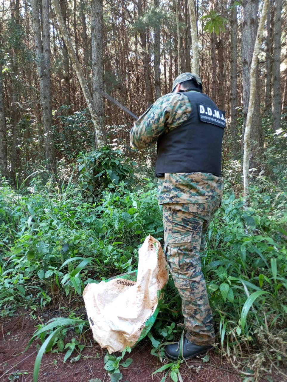 En operativos rurales recuperaron yerba robada, secuestraron un arma para caza ilegal y destruyeron redes de pesca imagen-8