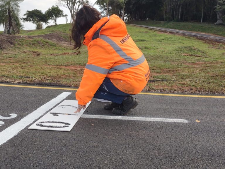 Realizaron trabajos de demarcación en la ciclovía del Jardín Botánico imagen-3