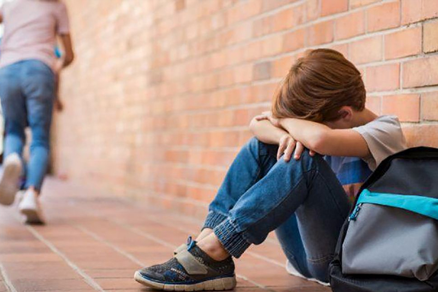 Advierten un aumento significativo de los casos de acoso escolar: "en una charla sincera es cuando más se nota incremento del bullying" remarcó la psicóloga Houghan imagen-10