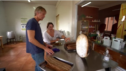 El estadounidense David English y su descubrimiento en Misiones: la madera comestible que produce una familia de emprendedores imagen-2