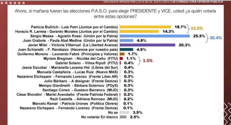 Elecciones Paso 2023: según encuesta, Massa se mantiene como el candidato más votado en términos individuales imagen-47