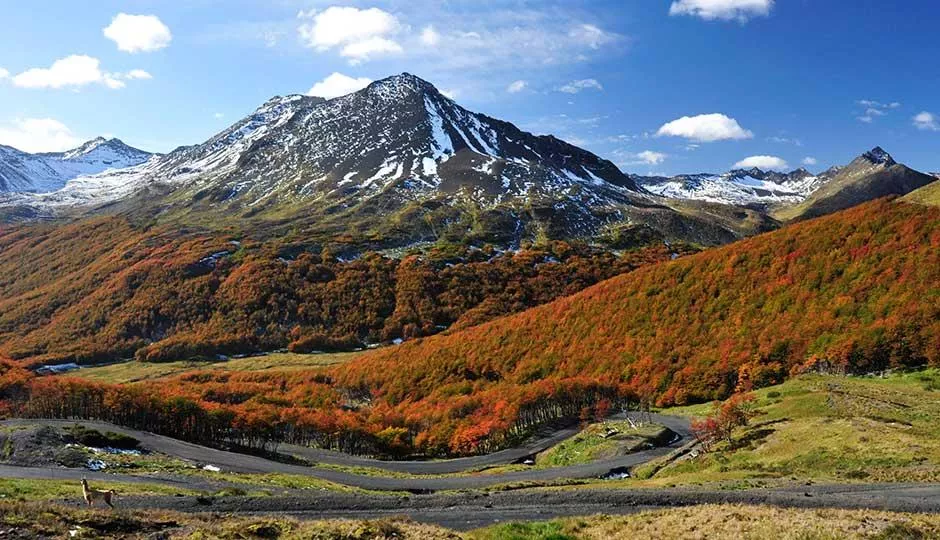 “Tierra del Fuego tiene una biodiversidad más sensible en cuanto a otras provincias debido a que se encuentra en la región más austral del país” sostuvo el director de conservación de Ushuaia imagen-4