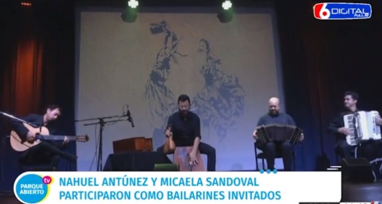 Música y danza regionales: diversidad y autenticidad misionera con sello de calidad artística imagen-43