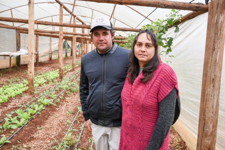 Preservando la diversidad: La labor de Andreia en Puerto Iguazú imagen-4