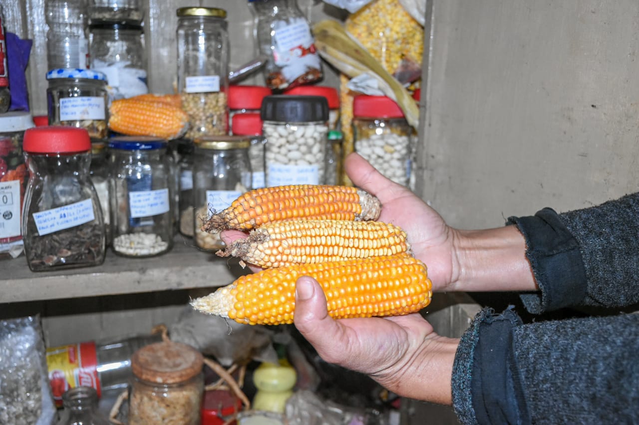 Preservando la diversidad: La labor de Andreia en Puerto Iguazú imagen-4