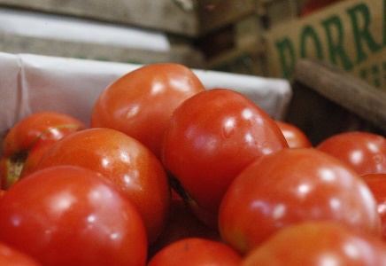 Se declara el alerta fitosanitaria en todo el territorio por el virus rugoso del tomate imagen-1
