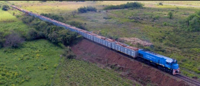 La carga ferroviaria de la línea Urquiza recupera terreno a tres años del retorno a Misiones imagen-12