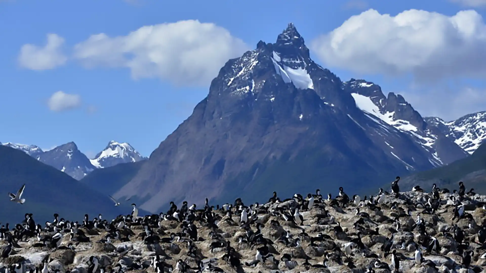 “Tierra del Fuego tiene una biodiversidad más sensible en cuanto a otras provincias debido a que se encuentra en la región más austral del país” sostuvo el director de conservación de Ushuaia imagen-2