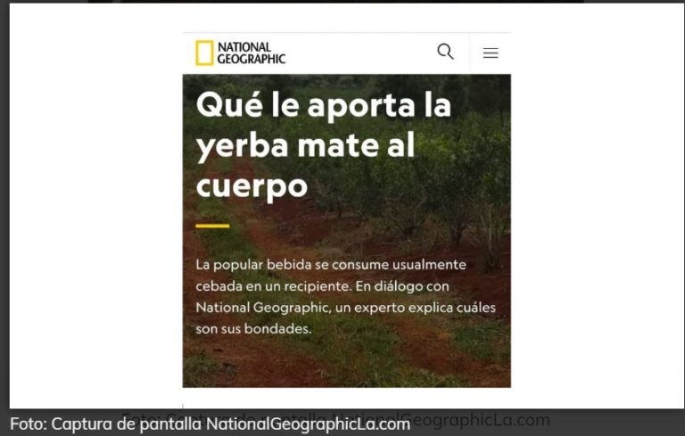 La yerba mate, nuevamente en las páginas de National Geographic imagen-37