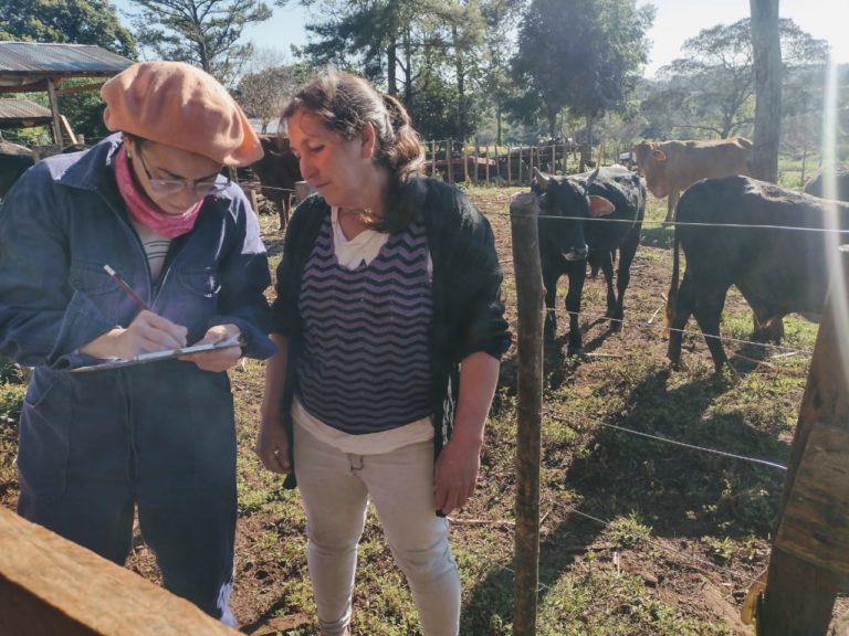 Más de 30 estudiantes de la Universidad Nacional de Río Cuarto participaron en Misiones de las pasantías en Sanidad Animal imagen-44