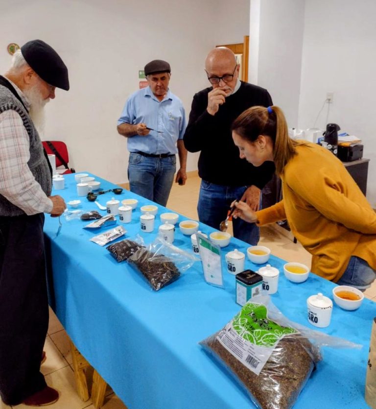 Por su calidad, quieren obtener la identificación geográfica para el té argentino imagen-22