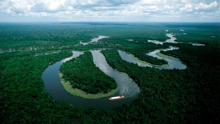 La Cumbre Amazónica de Lula busca imponer la diplomacia del cambio climático desde el sur imagen-42