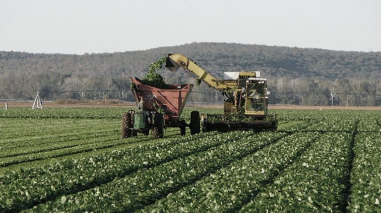 El BID aprobó un préstamo para Argentina por US$ 100 millones destinado a la agroindustria imagen-40