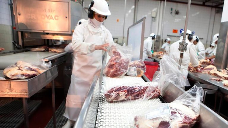 Crecieron las exportaciones de carne vacuna en volumen en julio imagen-2