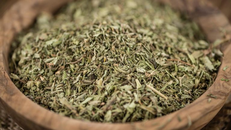 Se expande en la Argentina el consumo de yerba orgánica imagen-48