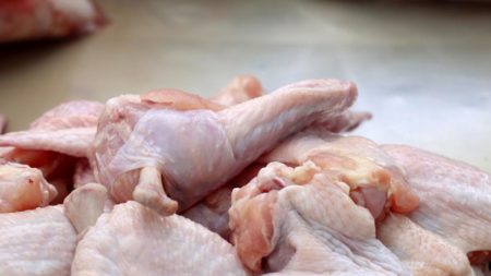La Argentina vuelve a exportar carne aviar a la Unión Europea imagen-4