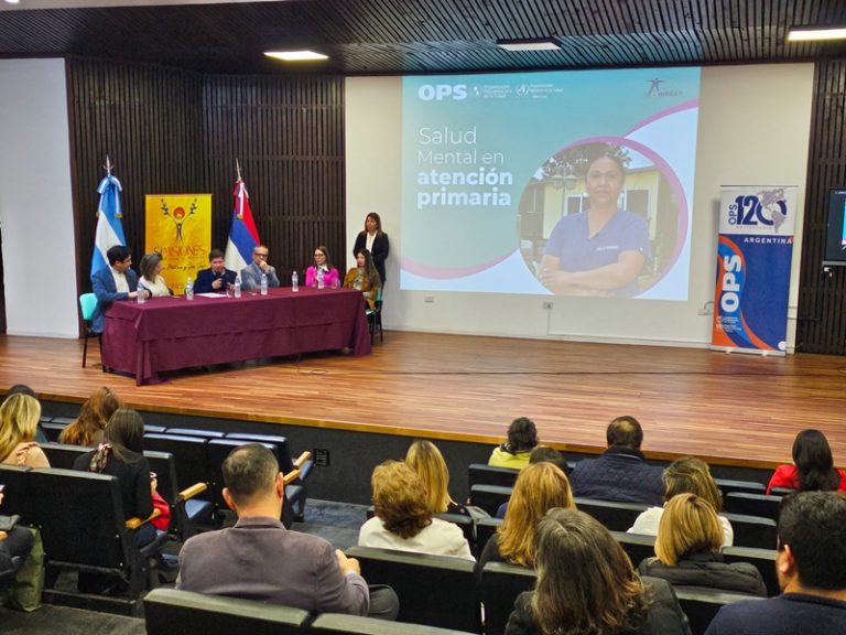 Misiones presentó el Programa de Acción Global para la Salud Mental (mhGAP) imagen-11