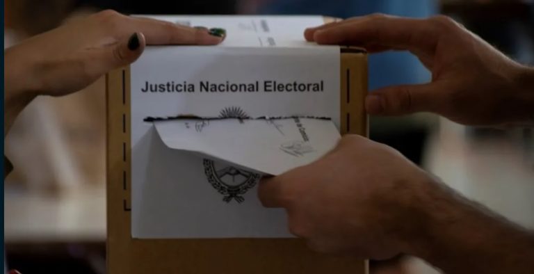 Paso 2023: casi un 70% del padrón electoral concurrió a las urnas imagen-28