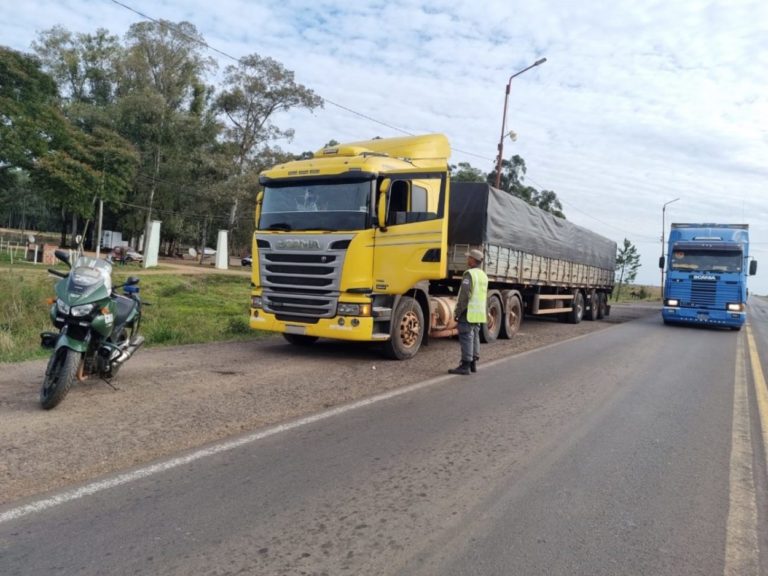 Secuestran 148 toneladas de granos como resultado de controles viales en rutas 12 y 14 imagen-34