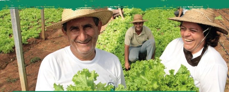 Feria de Hortigranjeiros: Posadas impulsa los lazos comerciales con Brasil imagen-26