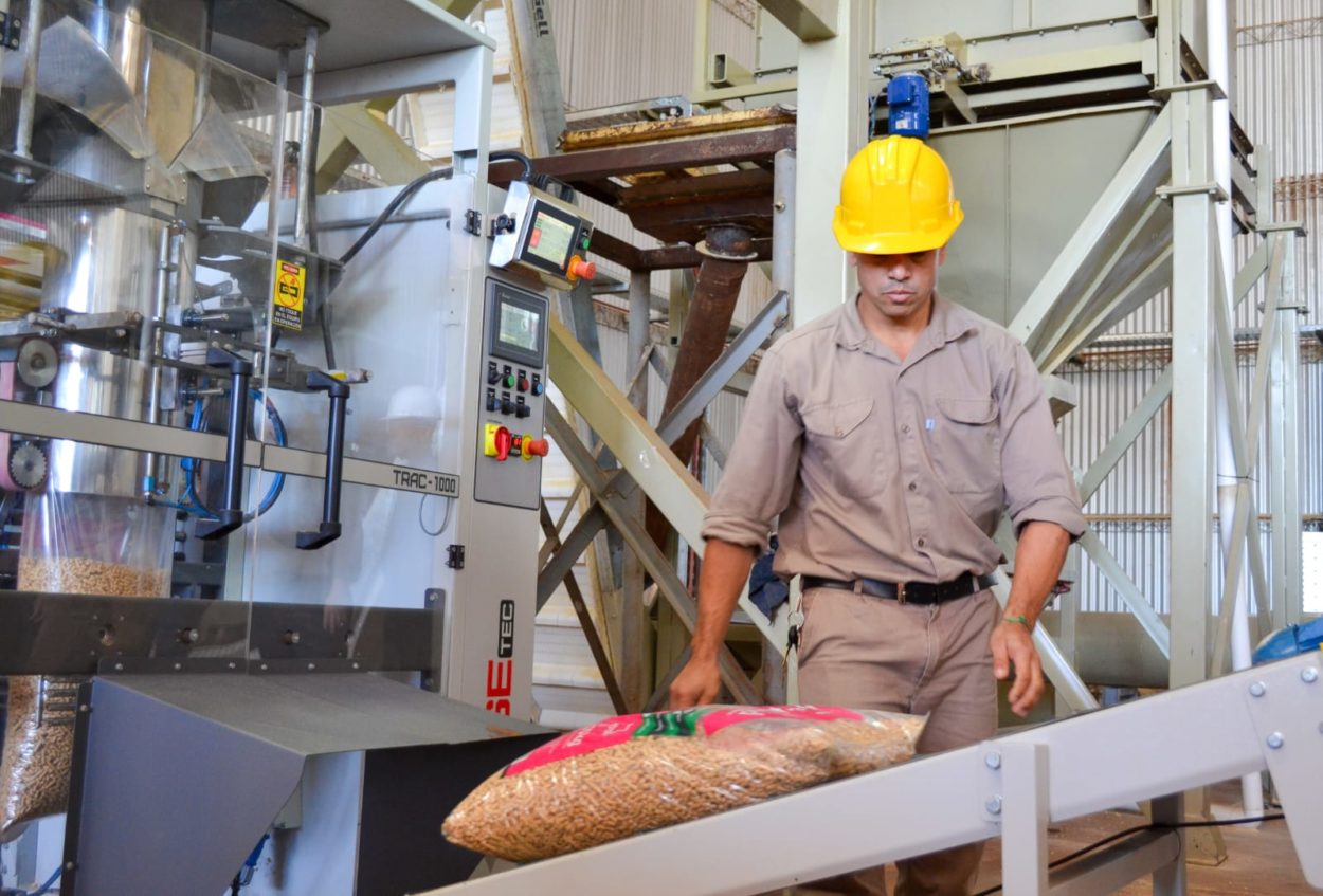 Passalacqua y Arce recorrieron innovadora fábrica de pellets de madera en Colonia Victoria imagen-8