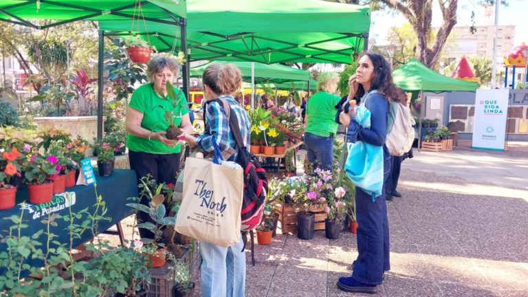 Tierra en Flor: colores y aromas en la Plaza San Martín imagen-10