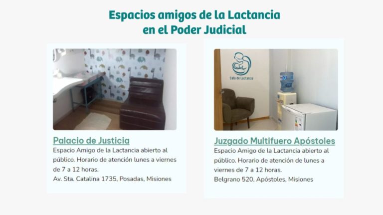 El Poder Judicial integra la "Ruta Sustentable de la Lactancia de Misiones imagen-30