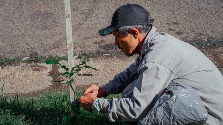 Plantarán más de 150 árboles en Villa Sarita y Aguacates imagen-27