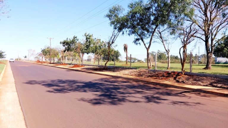 Relocalizaron árboles en la parte exterior del Parque de la Ciudad imagen-9