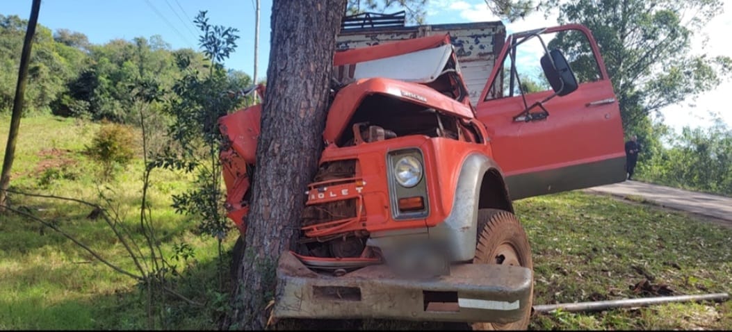 Camionero resultó lesionado tras despistar e impactar contra un árbol en Panambí  imagen-1