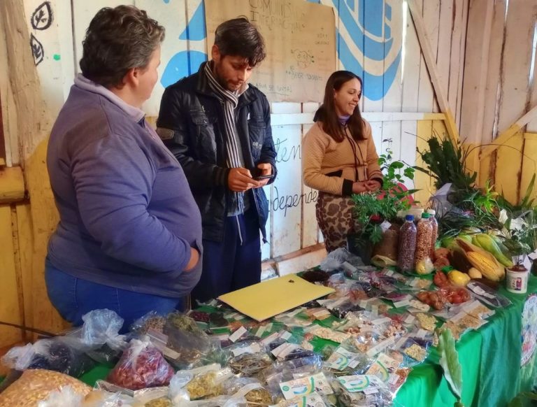 Productores y guaraníes, arte y charlas sobre agua, suelo y yerba en Encuentro de Semillas del Alto Uruguay imagen-9