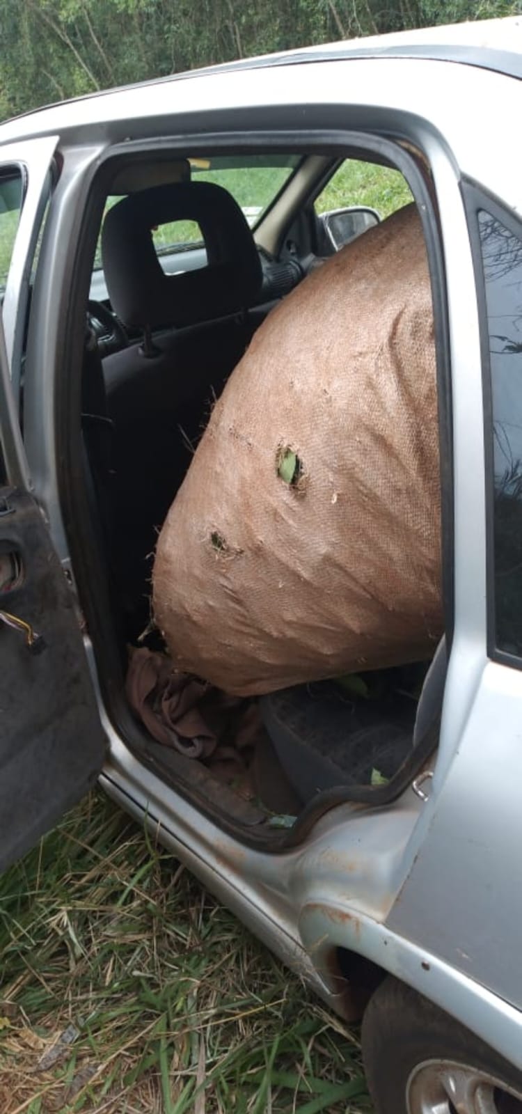 Dos hombres fueron detenidos por la presunta comisión de hurto de yerba mate imagen-2