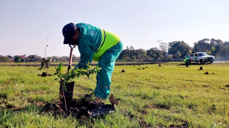 Para aumentar la vegetación, continúan con las tareas de arborización en el Jardín Botánico  imagen-40