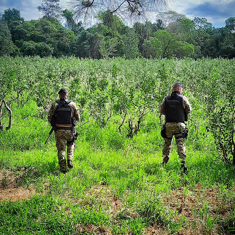 Patrullas rurales: se intensifican tareas de prevención en toda la provincia imagen-4