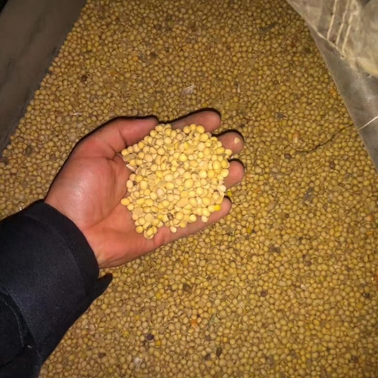 La Policía ya incautó casi dos mil toneladas de granos en lo que va del año imagen-2