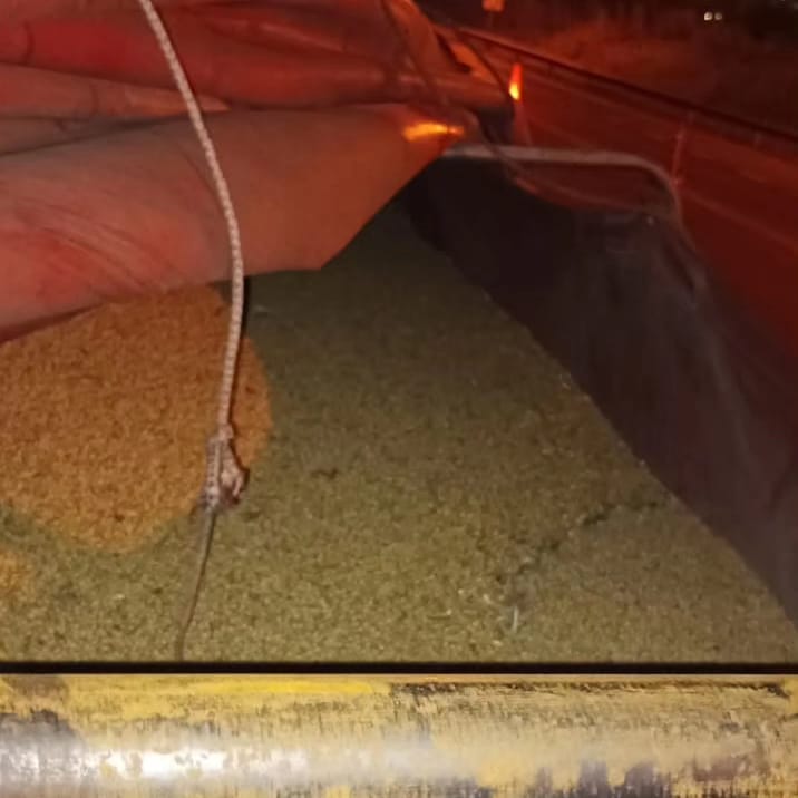 La Policía ya incautó casi dos mil toneladas de granos en lo que va del año imagen-8