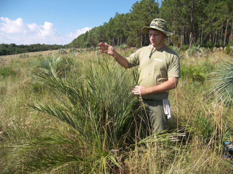 Misiones avanza en la lucha contra el cambio climático: Legislatura creó un Programa para reducir los gases de efecto invernadero imagen-21