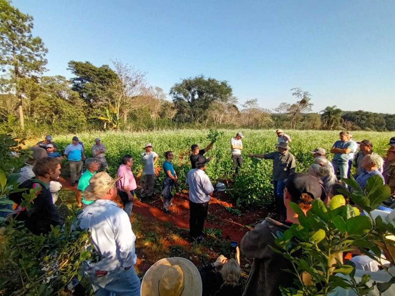 DNU sobre el Inym: "Los más perjudicados serán los pequeños productores", advierte titular de la Federación Agraria Misiones imagen-7