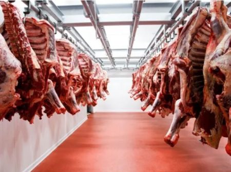 Gobierno aclaró que no suspendió exportaciones de carne y siguen negociando precios imagen-7