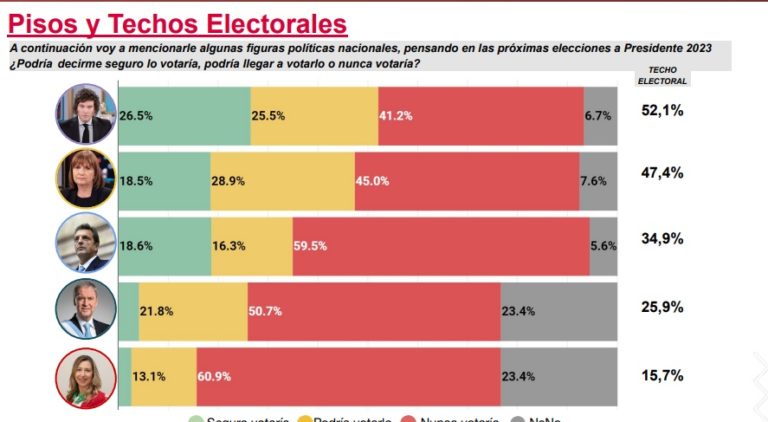 Elecciones 2023: según encuesta, Milei lidera el ranking de políticos con "mejor imagen" imagen-32