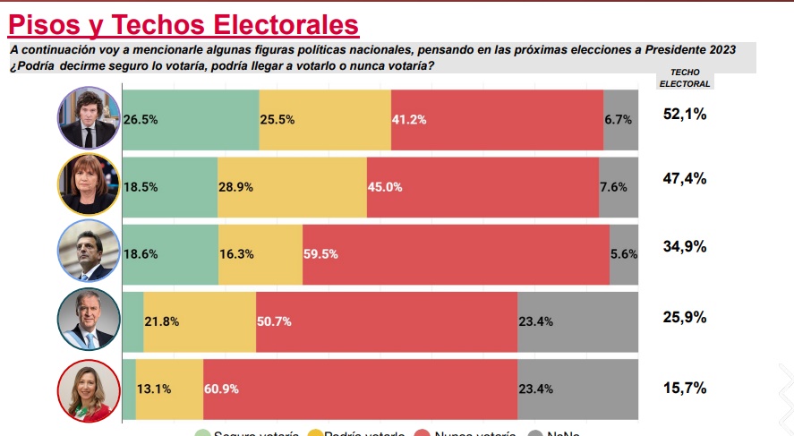 Elecciones 2023: según encuesta, Milei lidera el ranking de políticos con "mejor imagen" imagen-1