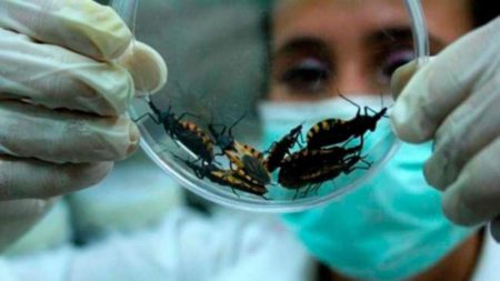 Día Nacional del Mal de Chagas-Mazza: el Parque de la Salud brinda tratamiento y seguimiento a esta afección imagen-9