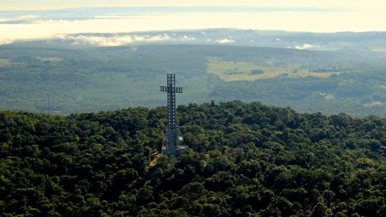 Parques Provinciales realizan actividades especiales por el Día Nacional del Árbol imagen-25