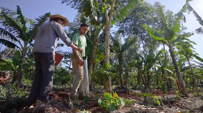 En alza: productores apuestan por el cultivo de cúrcuma en El Soberbio imagen-1