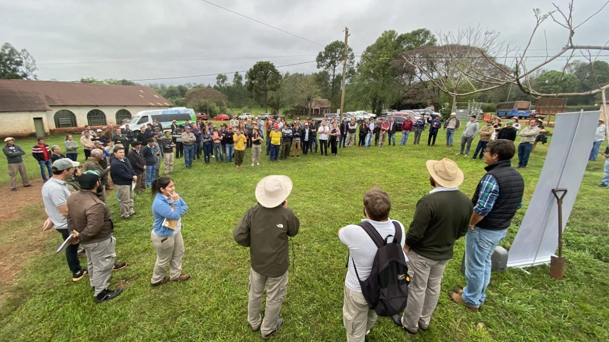 Productores de toda la región yerbatera asistieron a la jornada técnica desarrollada en Jardín América imagen-6