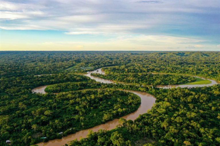 Misiones - Río Grande do Sul: Herrera Ahuad abogó por una agenda ambiental "más regional" entre Estados fronterizos imagen-10